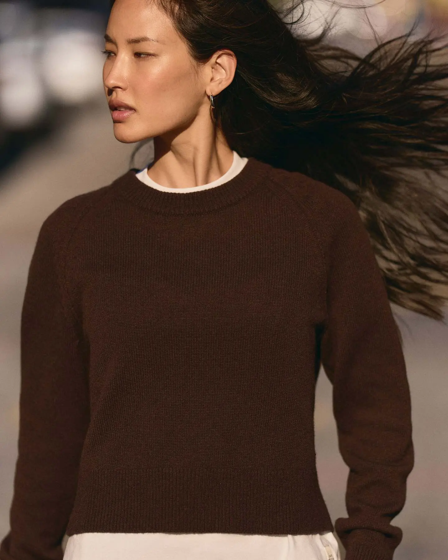 ÉMilie Cashmere Crew